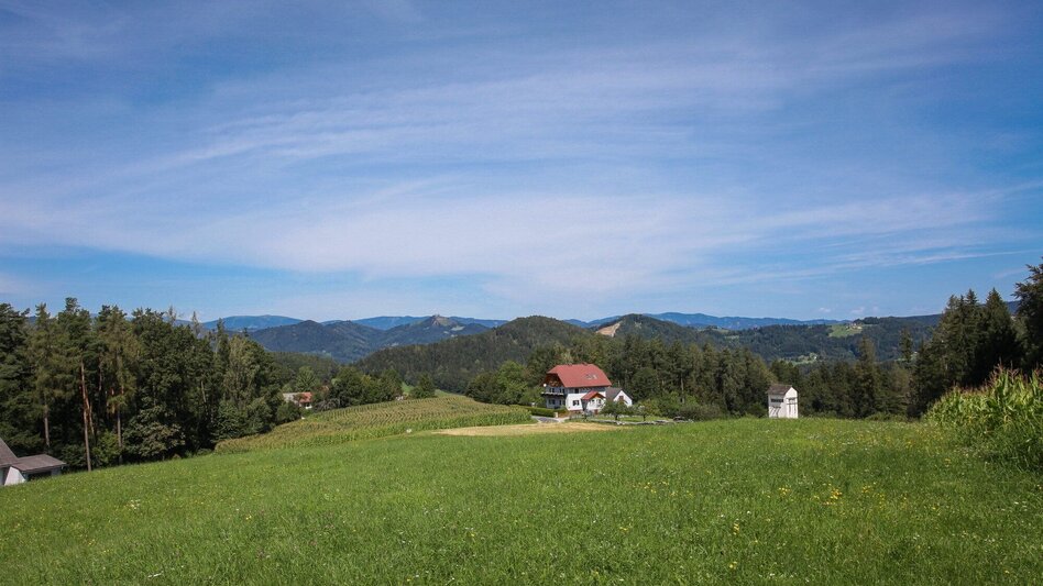 Bike Riding Ins Gratkorner Hinterland - Touren-Impression #2.5 | © Region Graz