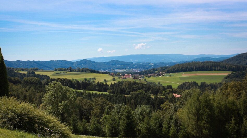 Bike Riding Ins Gratkorner Hinterland - Touren-Impression #2.6 | © Region Graz