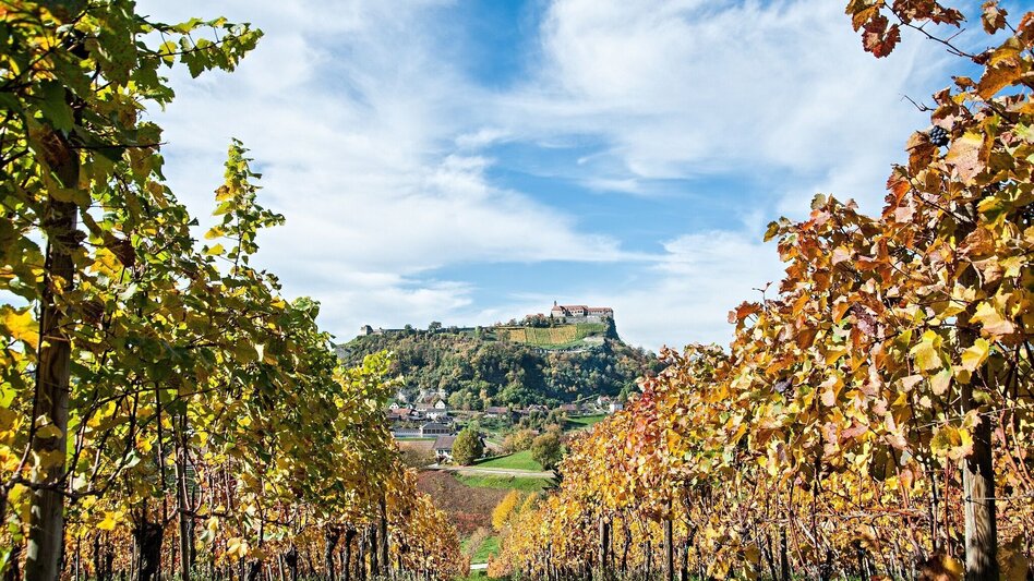 Hiking route Genusswanderweg Riegersburg (Historischer Rundweg) - Touren-Impression #2.7 | © Thermen- & Vulkanland