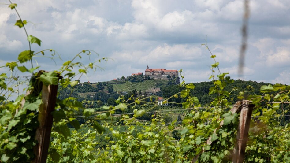 Hiking route Genusswanderweg Riegersburg (Historischer Rundweg) - Touren-Impression #2.10 | © Thermen- & Vulkanland