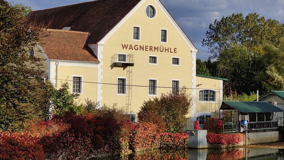 Wanderung Lauf- und Walkingstrecke Fehring - Touren-Impression #2.1 | © Thermen- & Vulkanland