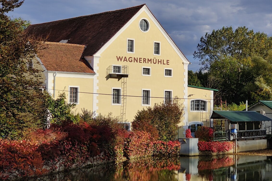 Wanderung Lauf- und Walkingstrecke Fehring - Touren-Impression #1 | © Thermen- & Vulkanland