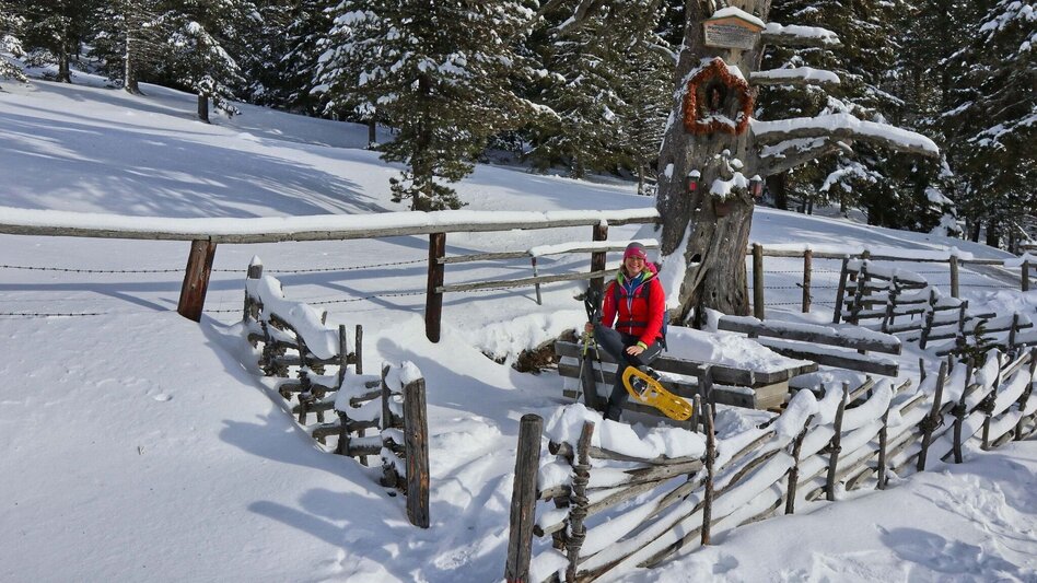 Snowshoe walking Lavant spring from the Waldheimhütte - Touren-Impression #2.3 | © Weges OG