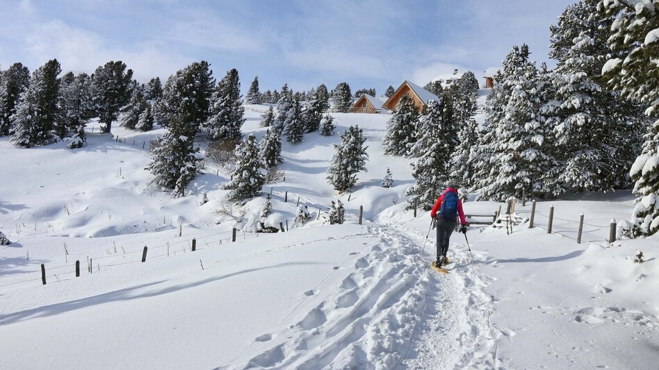 Snowshoe walking Lavant spring from the Waldheimhütte - Touren-Impression #2.1 | © Weges OG