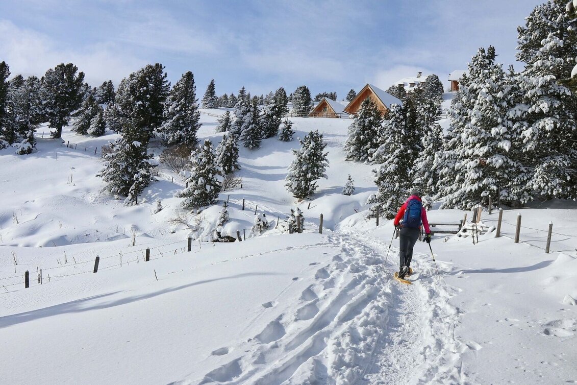 Snowshoe walking Lavant spring from the Waldheimhütte - Touren-Impression #1 | © Weges OG