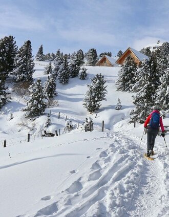 Wir erreichen die waldfreie Zone | Weges OG | © Weges OG