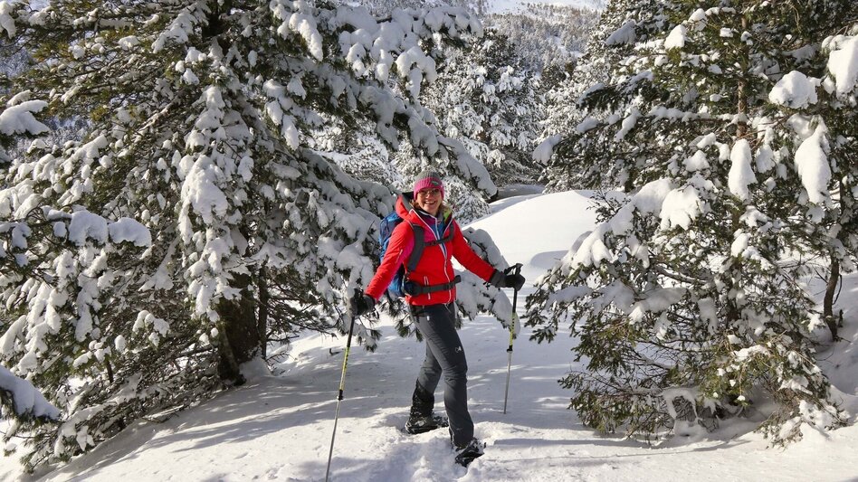 Snowshoe walking Lavant spring from the Waldheimhütte - Touren-Impression #2.5 | © Weges OG