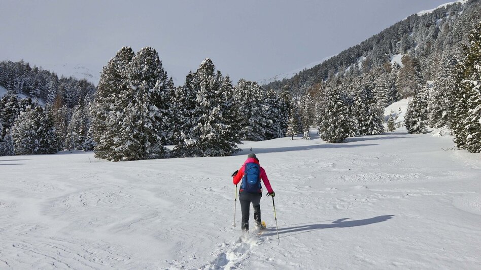 Snowshoe walking Lavant spring from the Waldheimhütte - Touren-Impression #2.7 | © Weges OG