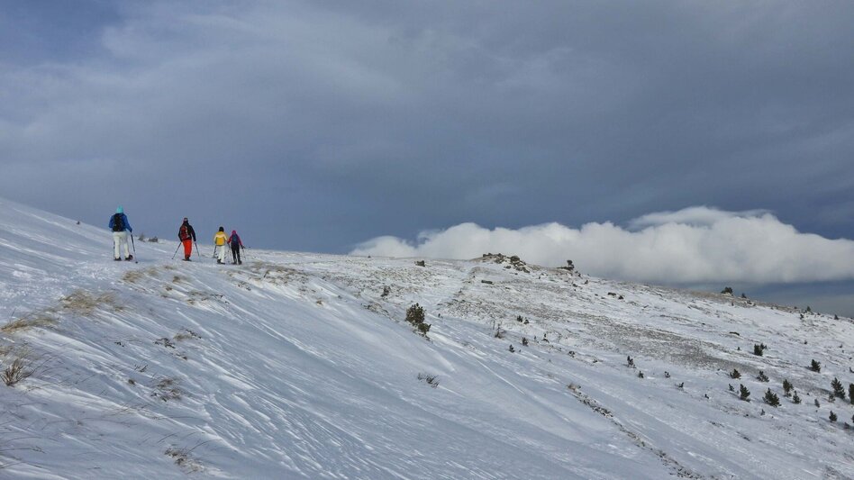 Snowshoe walking Lavant spring from the Waldheimhütte - Touren-Impression #2.11 | © Weges OG