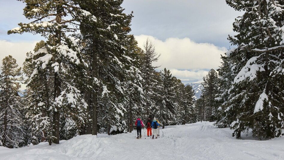Snowshoe walking Lavant spring from the Waldheimhütte - Touren-Impression #2.13 | © Weges OG