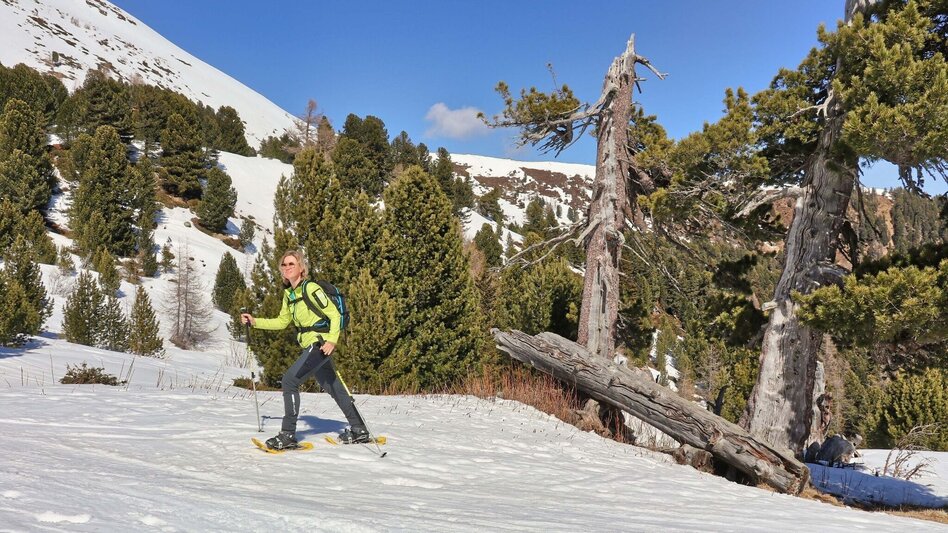 Snowshoe walking To the Lindersee in the Seetal Alps. - Touren-Impression #2.9 | © Weges OG