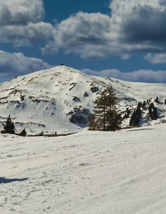 Schneeschuhwandern im weitläufigen Kar | Weges OG | © Weges OG