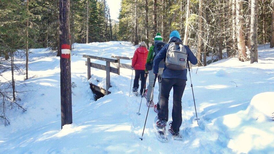 Schneeschuh Schneeschuhwanderung zu den Winterleitenseen mit Rodelerlebnis - Touren-Impression #2.4 | © Weges OG