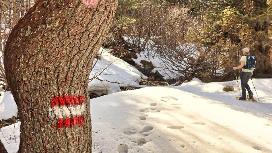 Schneeschuh Schneeschuhwanderung zu den Winterleitenseen mit Rodelerlebnis - Touren-Impression #2.5 | © Weges OG