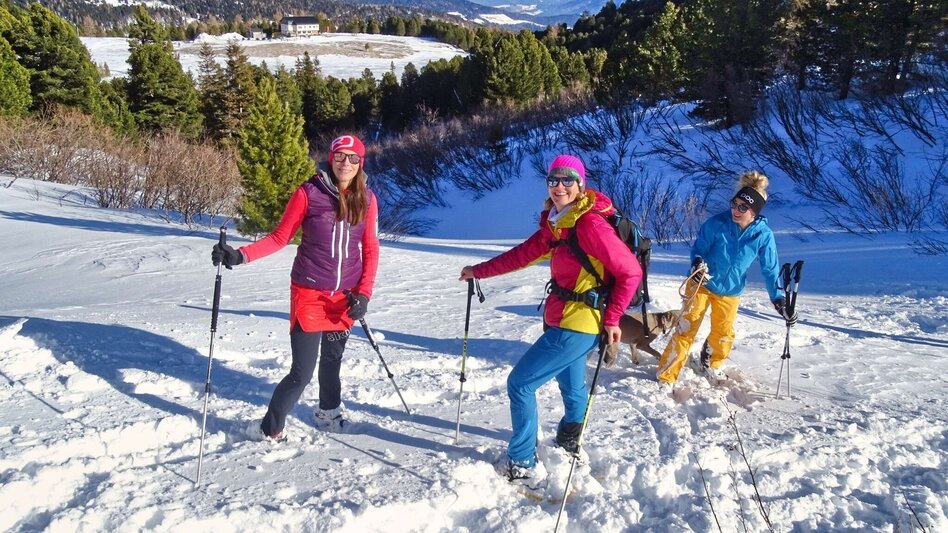 Schneeschuh Schneeschuhwanderung zu den Winterleitenseen mit Rodelerlebnis - Touren-Impression #2.10 | © Weges OG