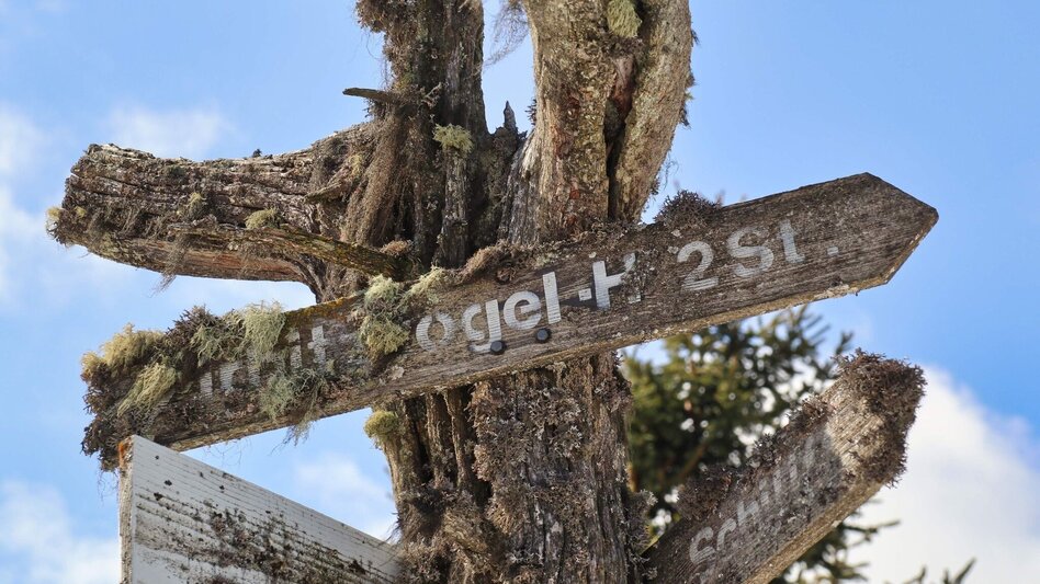 Snowshoe walking Snowshoe tour from the Waldheimhütte to the Zirbitzkogel - Touren-Impression #2.3 | © Weges OG