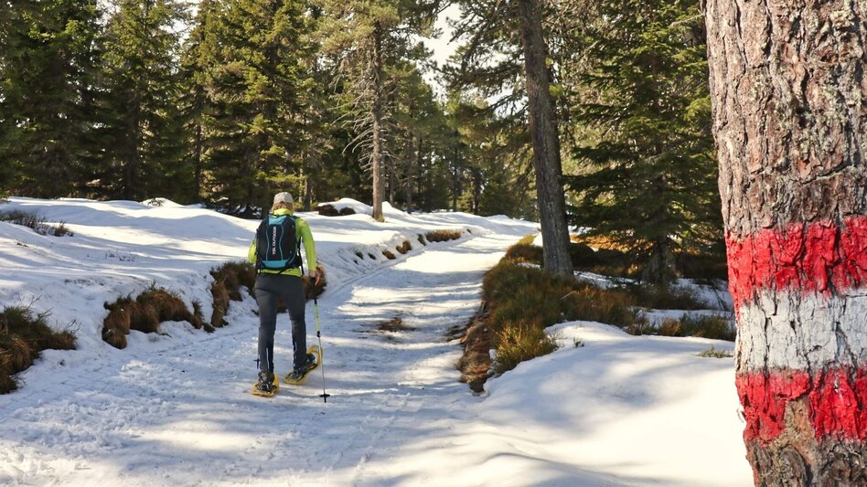 Snowshoe walking Snowshoe tour from the Waldheimhütte to the Zirbitzkogel - Touren-Impression #2.4 | © Weges OG