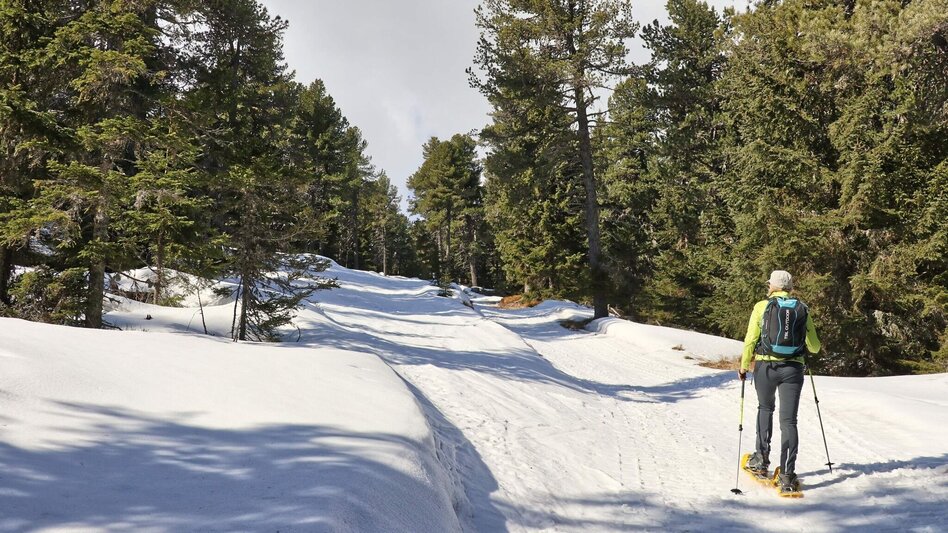 Snowshoe walking Snowshoe tour from the Waldheimhütte to the Zirbitzkogel - Touren-Impression #2.1 | © Weges OG