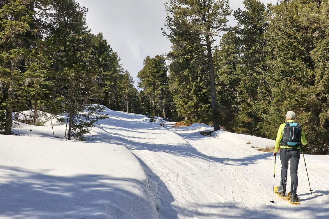 Snowshoe walking Snowshoe tour from the Waldheimhütte to the Zirbitzkogel - Touren-Impression #1 | © Weges OG