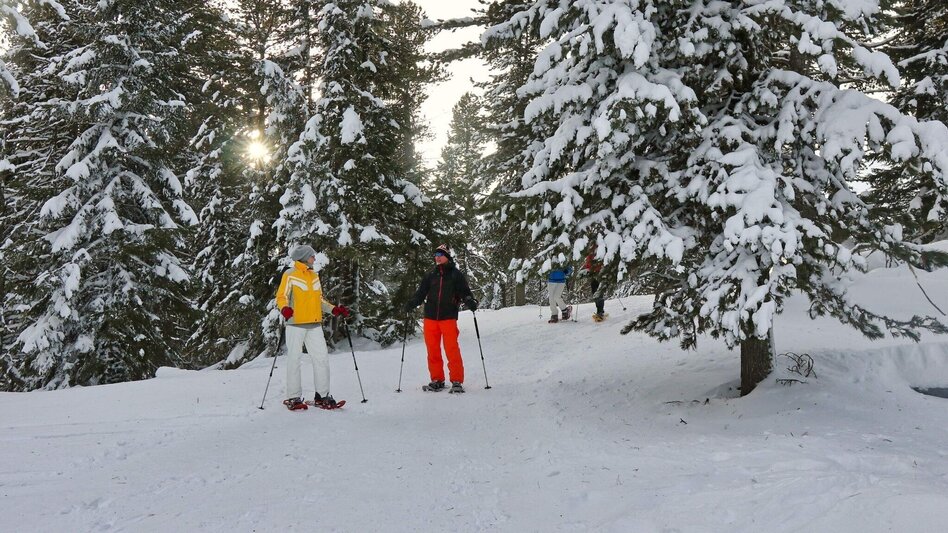 Snowshoe walking Snowshoe tour from the Waldheimhütte to the Zirbitzkogel - Touren-Impression #2.5 | © Weges OG