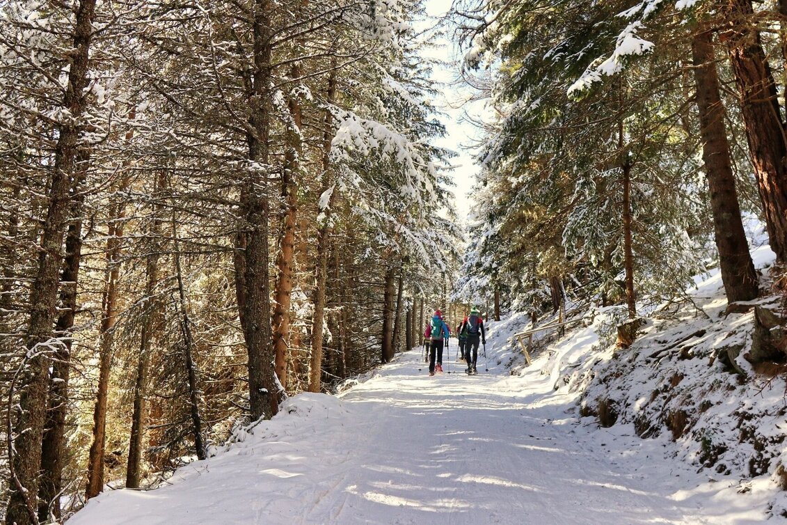 Snowshoe walking Snowshoe tour from Alpengasthof Sabathy on the Zirbitzkogel - Touren-Impression #1 | © Weges OG