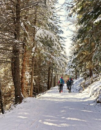 Der Forstweg führt uns bis zu Linderhütte | Weges OG | © Weges OG