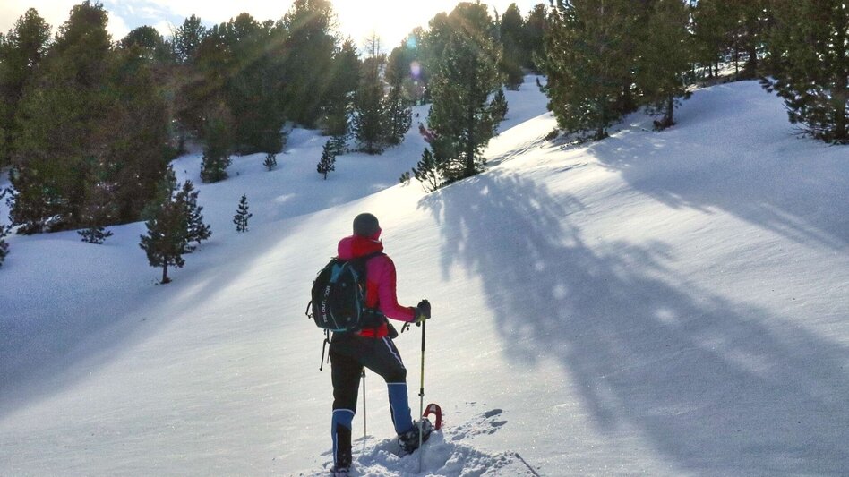 Snowshoe walking Snowshoe tour from Alpengasthof Sabathy on the Zirbitzkogel - Touren-Impression #2.5 | © Weges OG