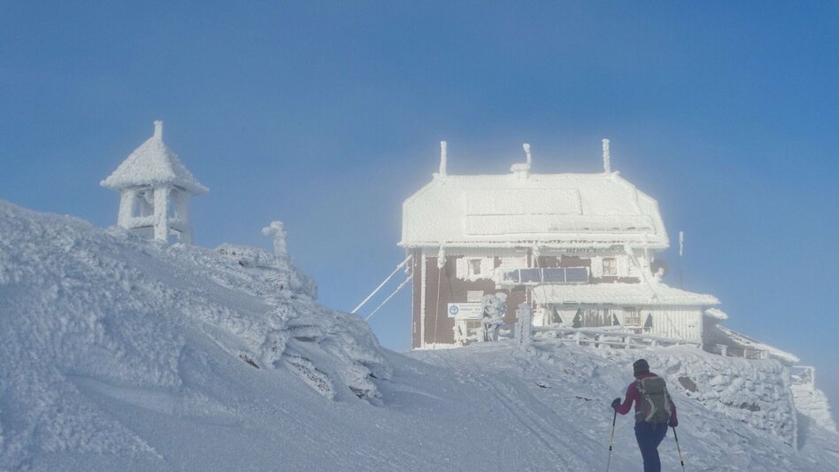 Snowshoe walking Snowshoe tour from Alpengasthof Sabathy on the Zirbitzkogel - Touren-Impression #2.10 | © Weges OG
