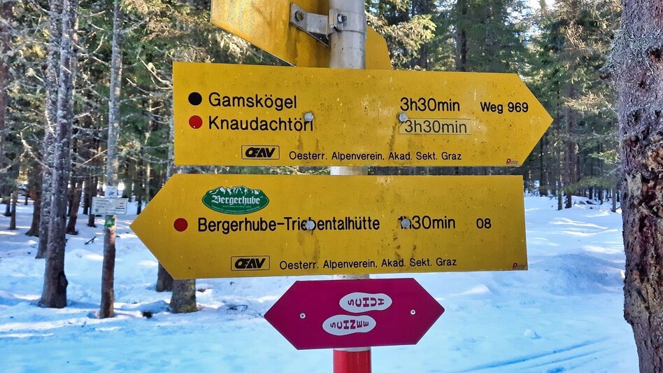 Snowshoe walking Mödringalm -marked snowshoe trail in the Triebental valley - Touren-Impression #2.5 | © Weges OG