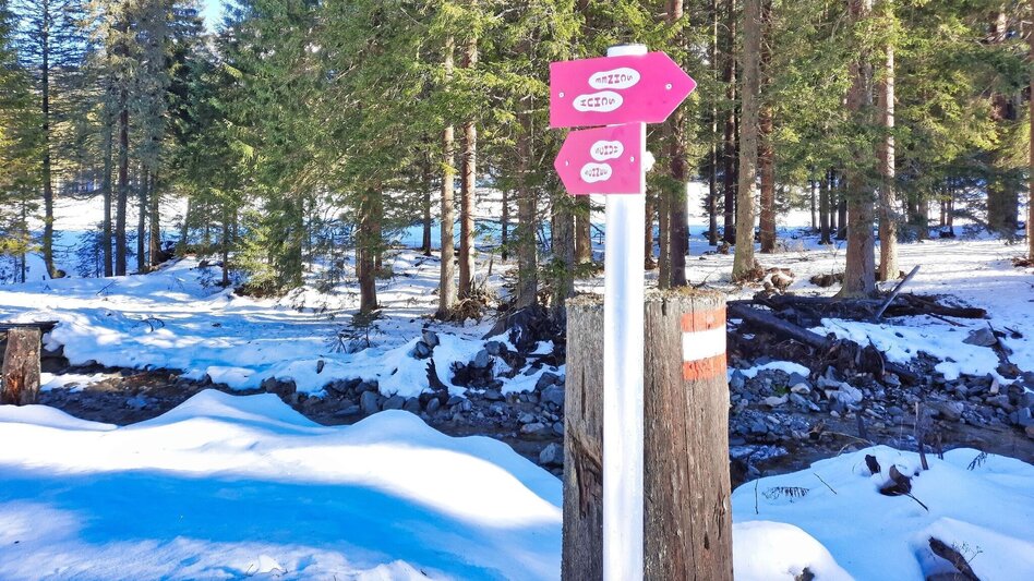 Snowshoe walking Mödringalm -marked snowshoe trail in the Triebental valley - Touren-Impression #2.7 | © Weges OG
