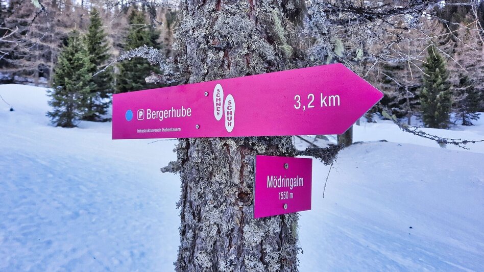 Snowshoe walking Mödringalm -marked snowshoe trail in the Triebental valley - Touren-Impression #2.12 | © Weges OG