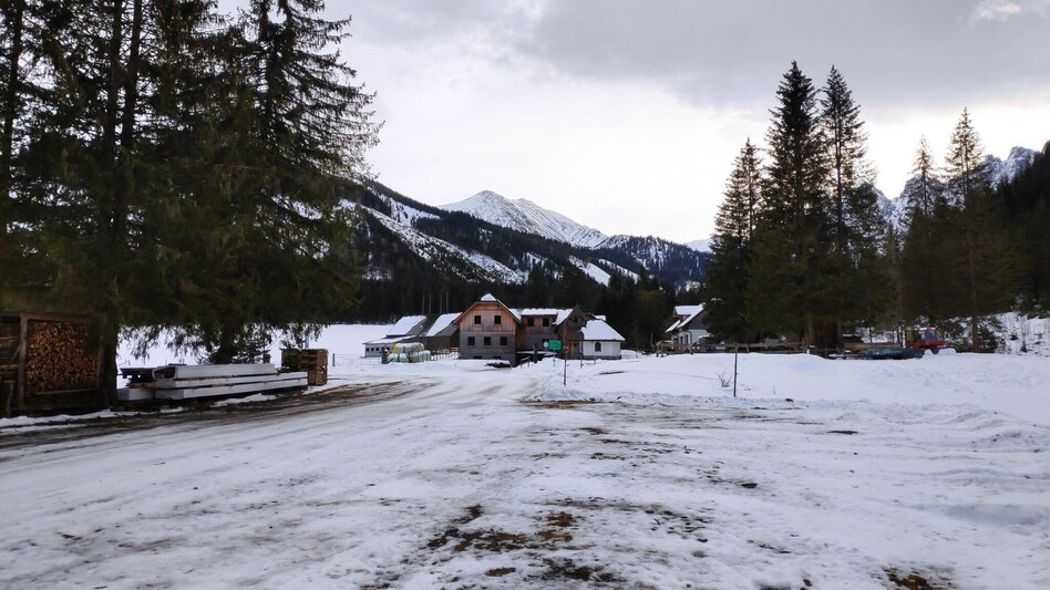 Snowshoe walking Mödringalm -marked snowshoe trail in the Triebental valley - Touren-Impression #2.4 | © WEGES OG