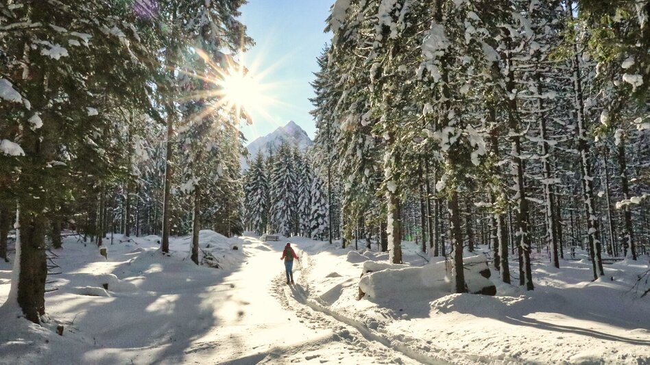 Snowshoe walking Mödringalm -marked snowshoe trail in the Triebental valley - Touren-Impression #2.6 | © Weges OG