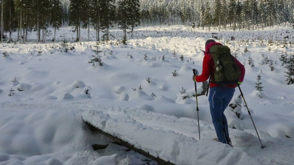 Snowshoe walking Mödringalm -marked snowshoe trail in the Triebental valley - Touren-Impression #2.8 | © Weges OG