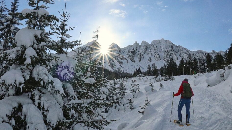 Snowshoe walking Mödringalm -marked snowshoe trail in the Triebental valley - Touren-Impression #2.9 | © Weges OG
