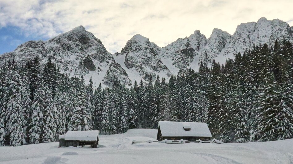 Snowshoe walking Mödringalm -marked snowshoe trail in the Triebental valley - Touren-Impression #2.1 | © Weges OG