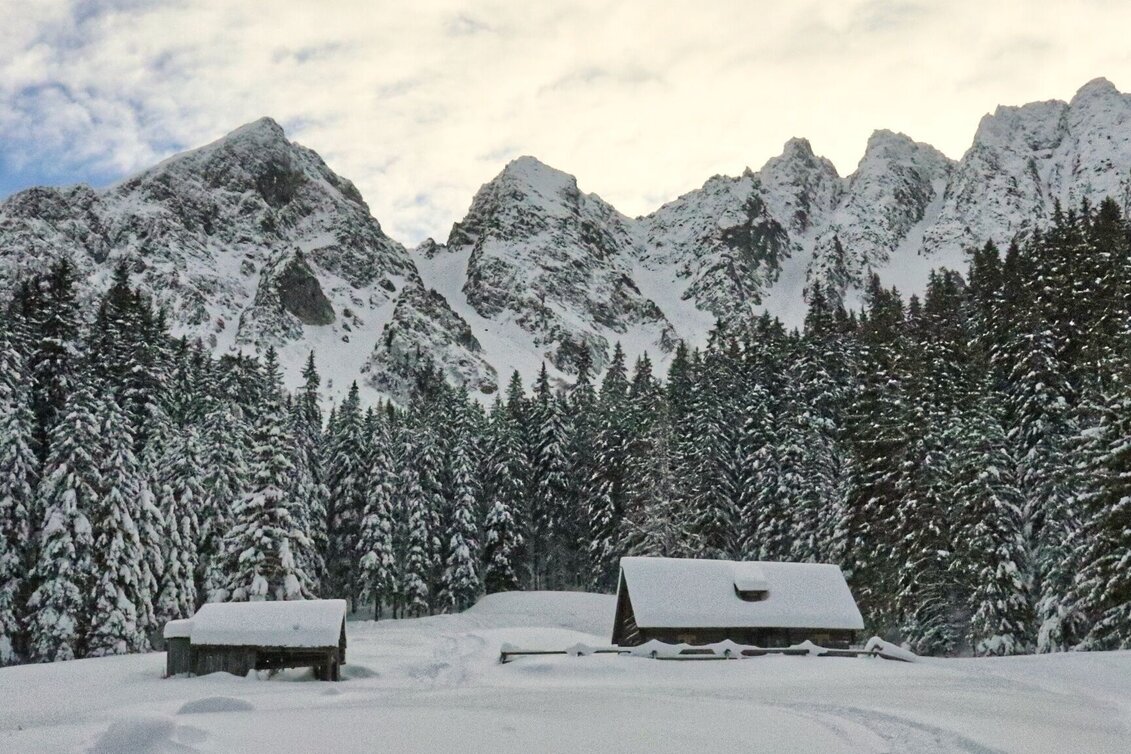Snowshoe walking Mödringalm -marked snowshoe trail in the Triebental valley - Touren-Impression #1 | © Weges OG