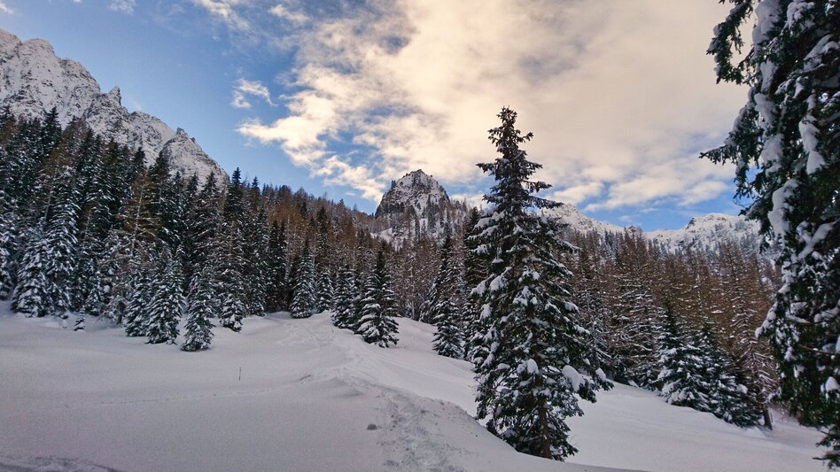 Snowshoe walking Mödringalm -marked snowshoe trail in the Triebental valley - Touren-Impression #2.13 | © Weges OG