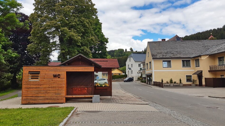 Hiking route Steinplan via sunny side - Touren-Impression #2.2 | © WEGES OG