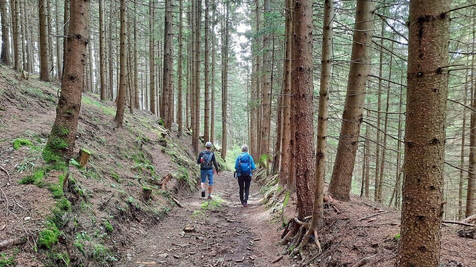 Hiking route Steinplan via sunny side - Touren-Impression #2.4 | © WEGES OG
