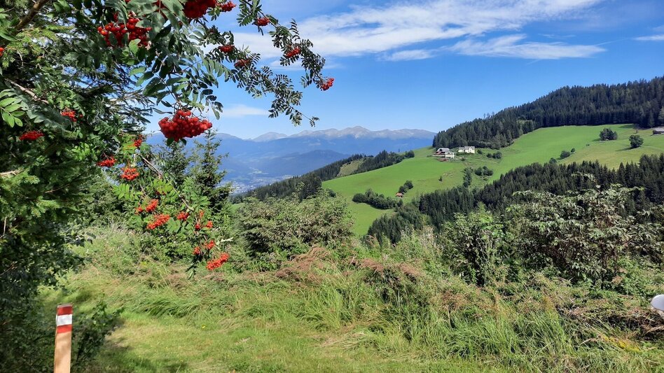 Hiking route Steinplan via sunny side - Touren-Impression #2.1 | © WEGES OG