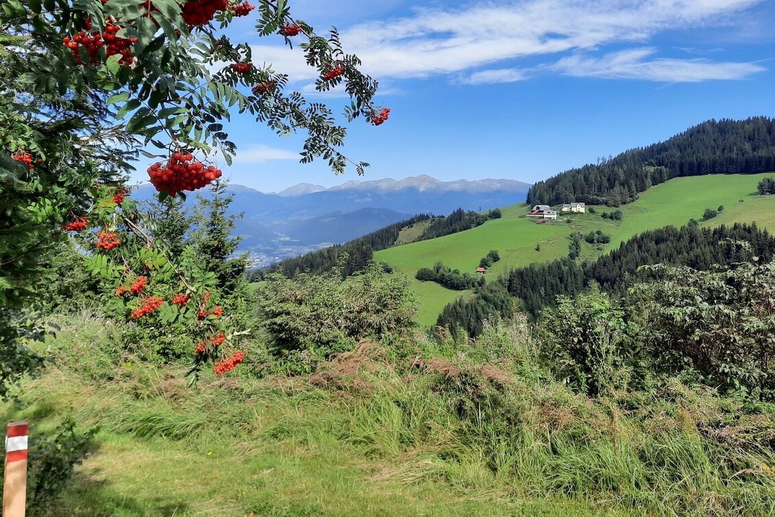 Hiking route Steinplan via sunny side - Touren-Impression #1 | © WEGES OG