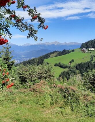 Aussichtspunkt Seckauer Alpen | WEGES OG | © WEGES OG