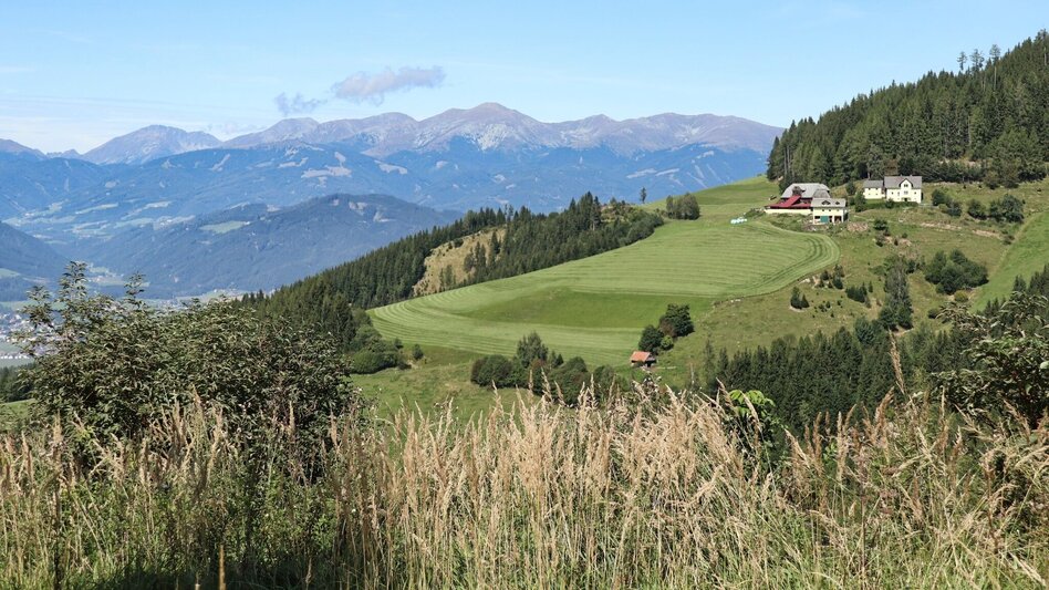 Hiking route Steinplan via sunny side - Touren-Impression #2.6 | © WEGES OG