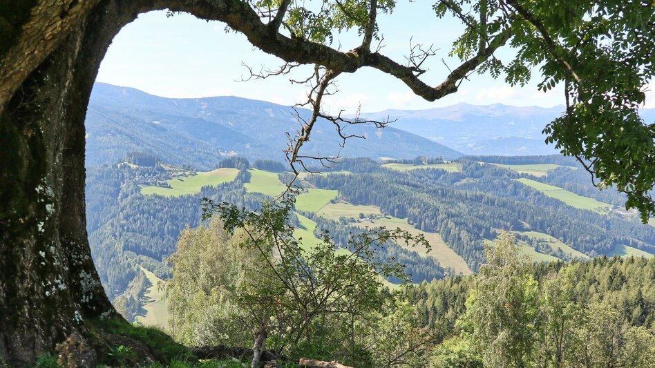 Hiking route Steinplan via sunny side - Touren-Impression #2.7 | © WEGES OG