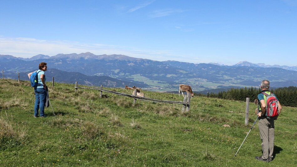 Hiking route Steinplan via sunny side - Touren-Impression #2.10 | © WEGES OG