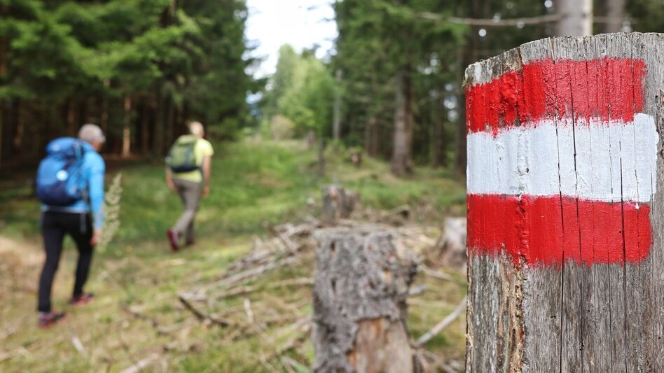 Hiking route Panorama round tour Kleinlobming - Touren-Impression #2.7 | © WEGES OG