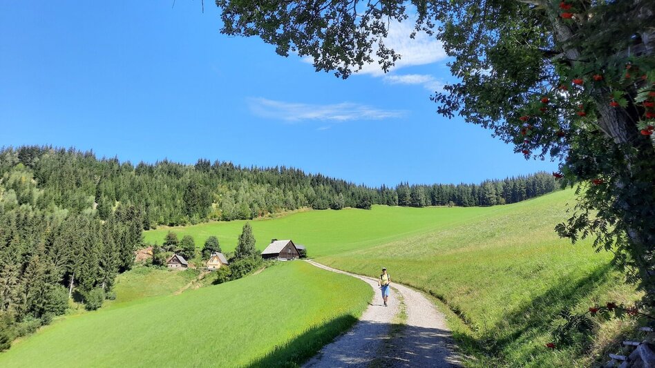 Hiking route Panorama round tour Kleinlobming - Touren-Impression #2.11 | © WEGES OG