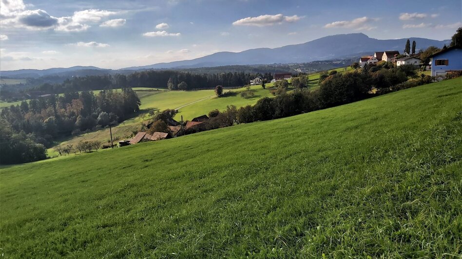Bike Riding Panoramic tour, St. Ruprecht an der Raab - Weiz - Touren-Impression #2.1 | © Oststeiermark Tourismus