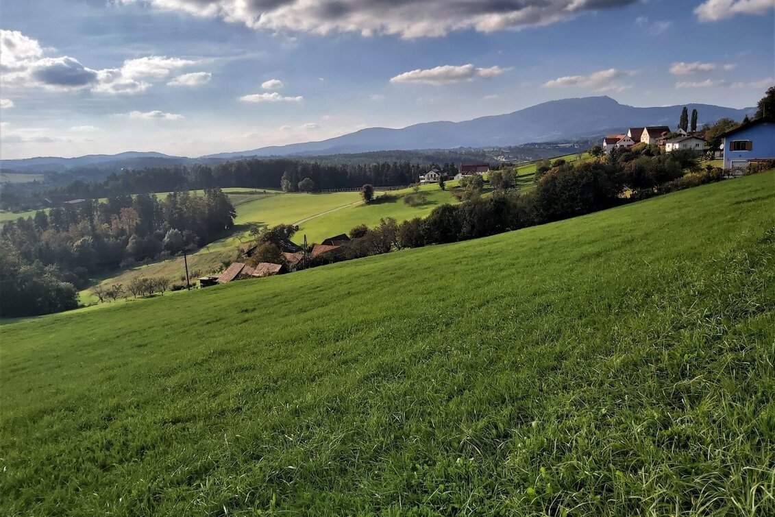 Bike Riding Panoramic tour, St. Ruprecht an der Raab - Weiz - Touren-Impression #1 | © Oststeiermark Tourismus